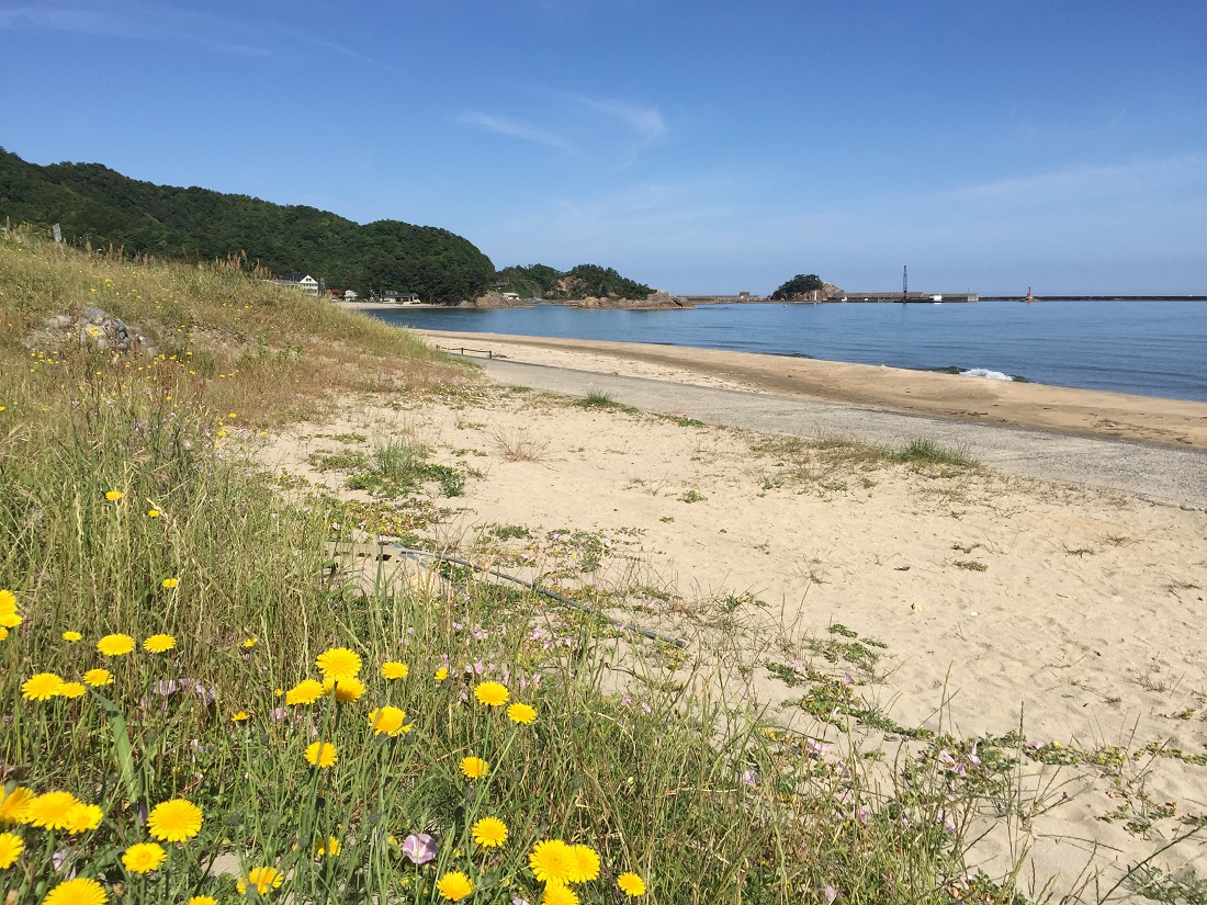 木村一堂　海岸風景 木村一堂 油絵 額付 風景画 海岸風景 - 絵画卸売 通販