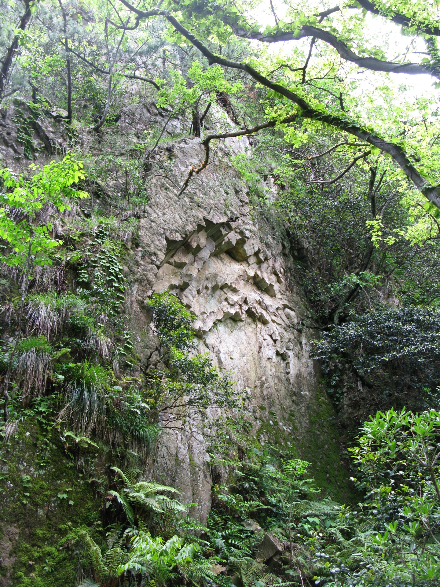 椿谷柱状節理 | 岩美町観光協会 - 海・山・温泉をまるごと味わえる町
