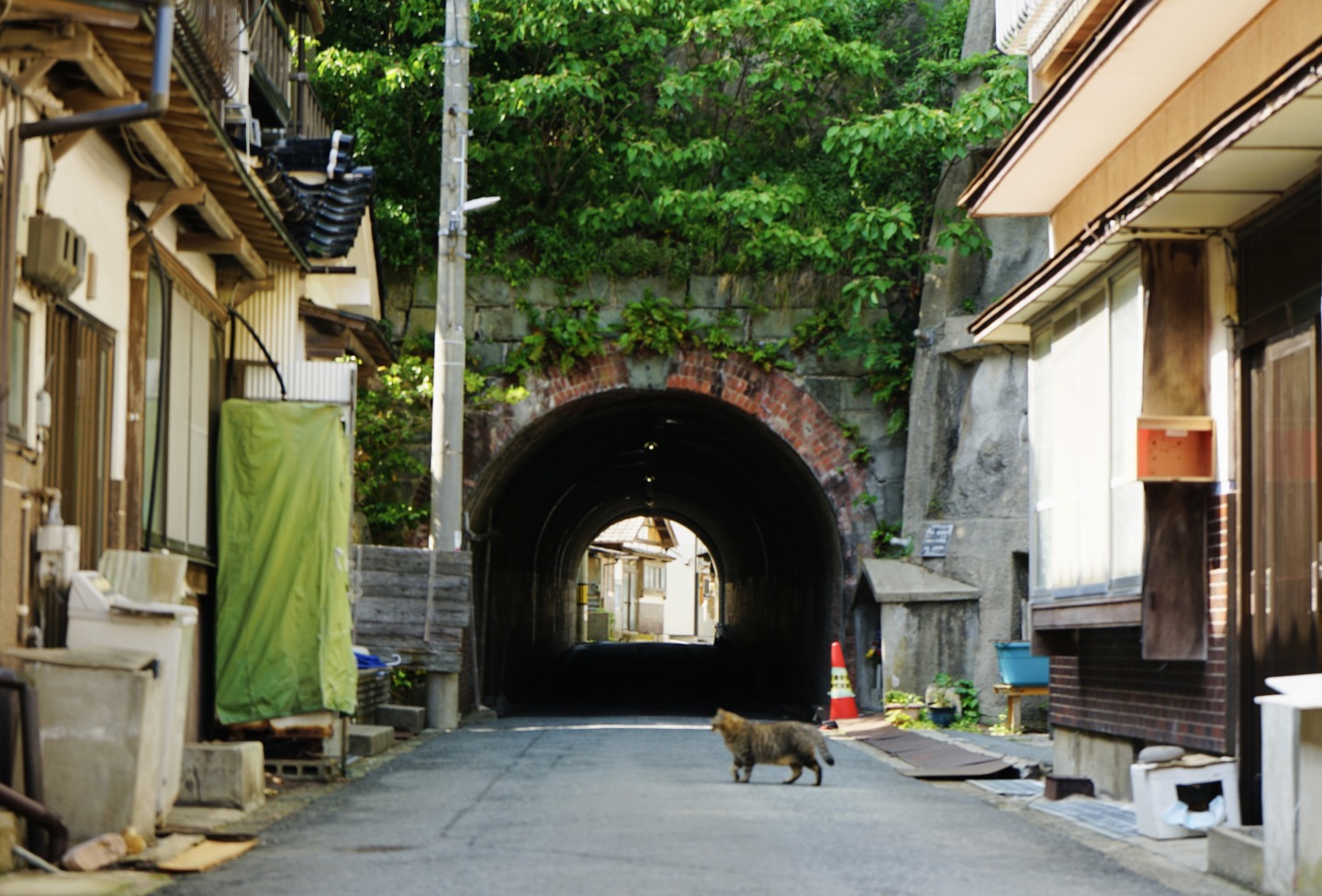 写真1